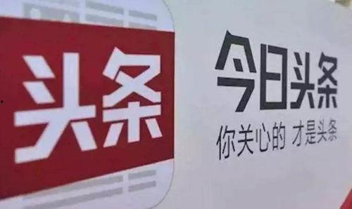 今日头条的退税在哪看,轻松查看退税进度”