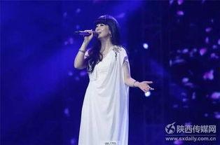 陕西明星演艺传媒,打造西部演艺新地标
