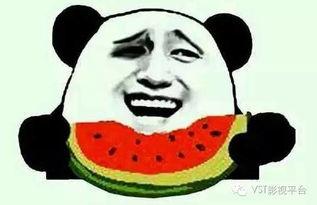 吃瓜托尼,吃瓜托尼带你揭秘娱乐圈那些事儿