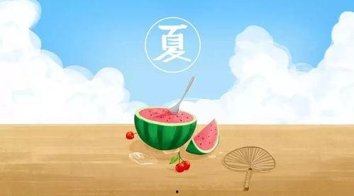 你弹琴了吗 吃瓜,一场别开生面的音乐与美食之旅