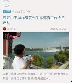 汉江最近今日头条事件,追踪最新进展与影响