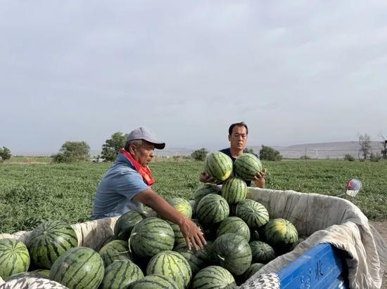 水东吃瓜,探寻地方特色美食之旅