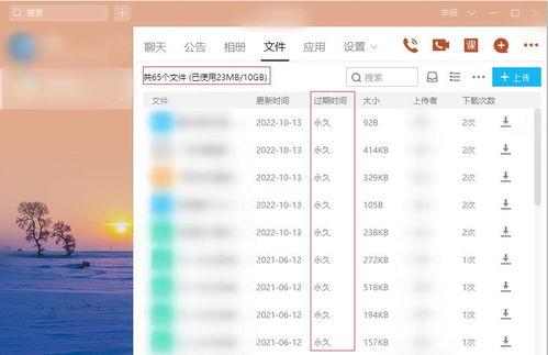 头条评论格式怎么变了,新趋势下的互动体验升级