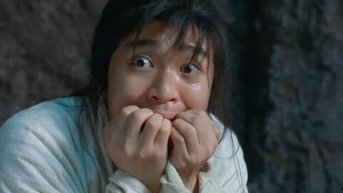 网红周星星打父母,揭秘网红背后的家庭纠葛