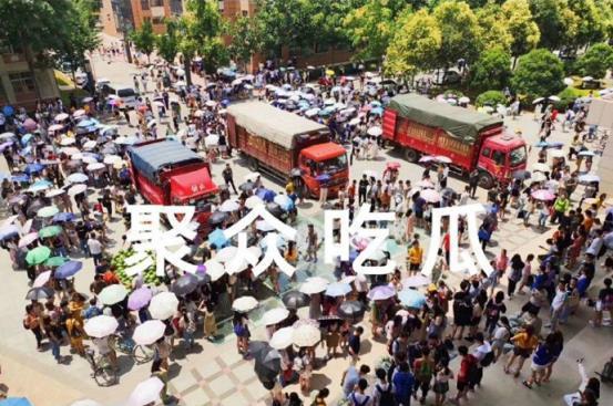 贵州各大高校吃瓜事件,揭秘校园热点背后的真相与反思