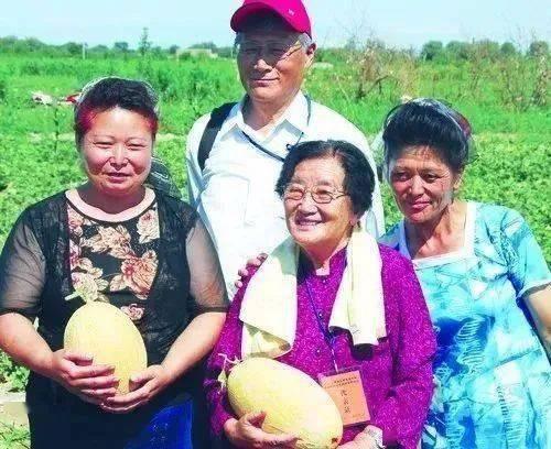 教授们吃瓜,揭秘学术界的八卦风云