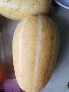 吃瓜炒菜什么意思