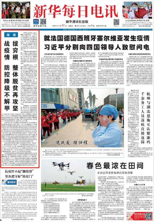 今日株洲头条疫情防疫图