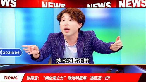 明星 政治,闪耀幕后的政治新星